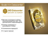 Твърди дискове 1TB 7200rpm Western Digital RE
