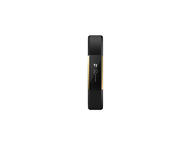 Смарт гривни Fitbit Alta Gold Black/Gold
