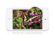 Таблети Apple iPod Touch 64GB, черен цвят