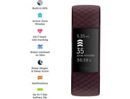 Смарт гривни Fitbit Charge 4  Rosewood / Rosewood