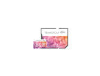 Карти памет Team Group Color Card II 64GB Micro SDHC/SDXC UHS-I U3 + SD Adapter