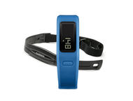 Смарт гривни Garmin Vivofit Bundle