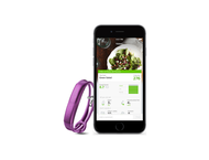 Смарт гривни Jawbone UP2, Orchid Circle Rope